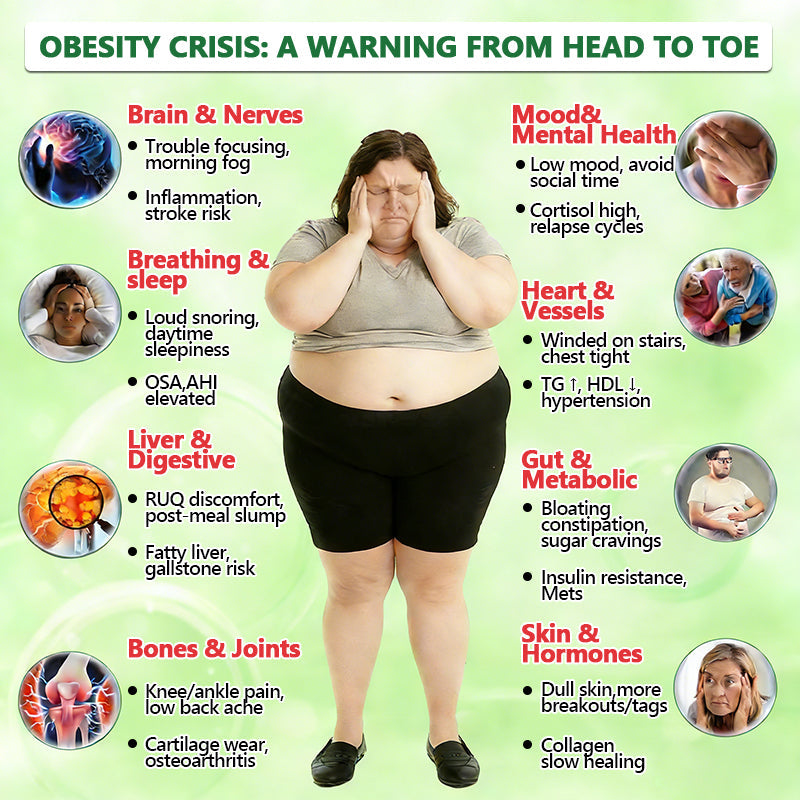 𝐀𝐮𝐬𝐬𝐢𝐞 𝐃𝐨𝐜𝐭𝐨𝐫 𝐑𝐞𝐜𝐨𝐦𝐦𝐞𝐧𝐝𝐞𝐝 👨‍⚕️ |🏆🏆 𝑴𝑼𝑹𝑾𝑶𝑵® 𝗕𝗲𝗿𝗯𝗲𝗿𝗶𝗻𝗲 𝟏𝟎-𝐢𝐧-𝟏 𝗡𝗮𝗻𝗼 𝗠𝗶𝗰𝗿𝗼𝗻𝗲𝗲𝗱𝗹𝗲 𝗣𝗮𝘁𝗰𝗵 | 𝐴𝑑𝑣𝑎𝑛𝑐𝑒𝑑 10-𝑖𝑛-1 𝑓𝑜𝑟𝑚𝑢𝑙𝑎 | ✅ 𝑉𝑖𝑠𝑖𝑏𝑙𝑒 𝑟𝑒𝑠𝑢𝑙𝑡𝑠 𝑖𝑛 𝑎𝑠 𝑙𝑖𝑡𝑡𝑙𝑒 𝑎𝑠 7 𝑑𝑎𝑦𝑠 🏮